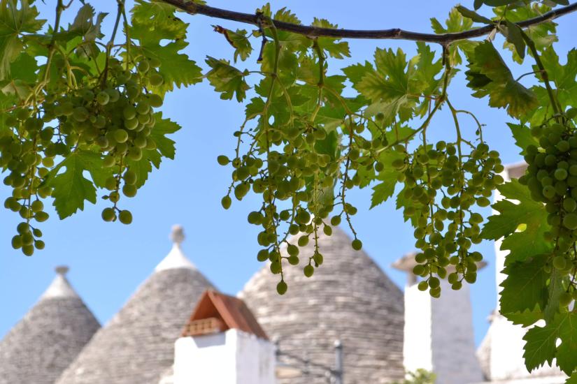small towns in puglia to visit